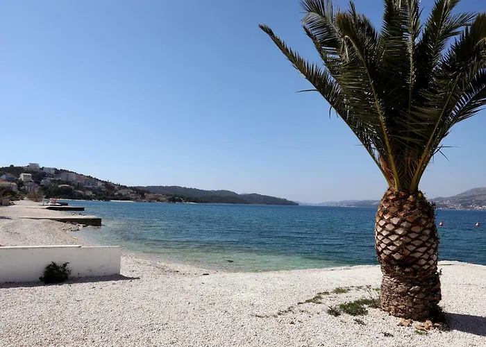 Katarina * טרוגיר